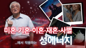 미혼, 기혼, 이혼, 재혼, 사별 생애주기별 성에너지
