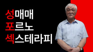 성매매, 포르노, 섹스테라피