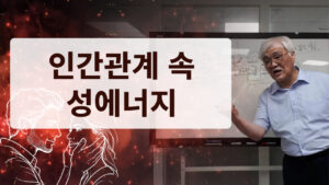 인간관계 속 성에너지의 영향
