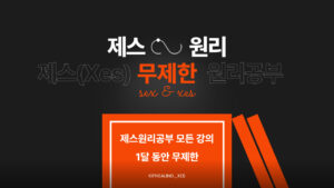 제스(Xes)원리공부 무제한 강의