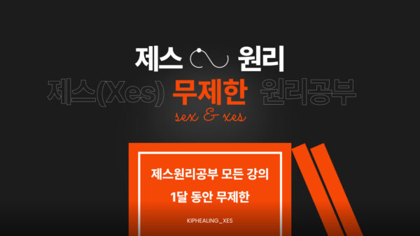 제스(Xes)원리공부 무제한 강의