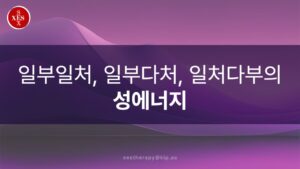 17. 일부일처, 일부다처, 일처다부의 성에너지