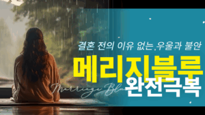 메리지블루 솔루션
